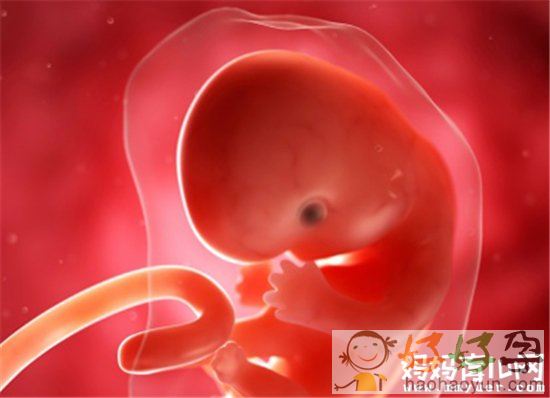 怀孕五周胎儿真实图片图片