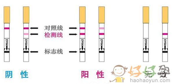 大家习惯性的喜欢买一些验孕试纸来自行测试